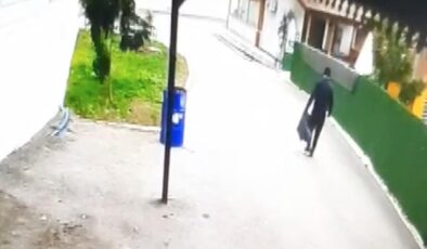 Rüzgarın Gazabıyla Devrilen Ağaç Tehlike Saçtı: Kaymakamlık Lojmanı Yakınında Yaşanan Olayda Mucize Kurtuluş