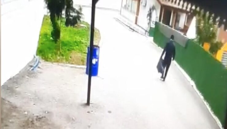 Rüzgarın Gazabıyla Devrilen Ağaç Tehlike Saçtı: Kaymakamlık Lojmanı Yakınında Yaşanan Olayda Mucize Kurtuluş