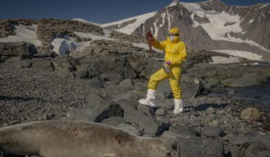 Antarktika’dan Sağlığa ve Tarıma Umut: Türk Bilim İnsanlarından Çığır Açan Araştırmalar