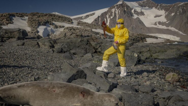 Antarktika’dan Sağlığa ve Tarıma Umut: Türk Bilim İnsanlarından Çığır Açan Araştırmalar