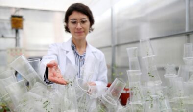 Türk Bilim Kadını Rengin Özgür Uzilday’dan Uzay Biyolojisine Katkı: Mikro Yerçekimi ve Dayanıklı Bitki Türleri