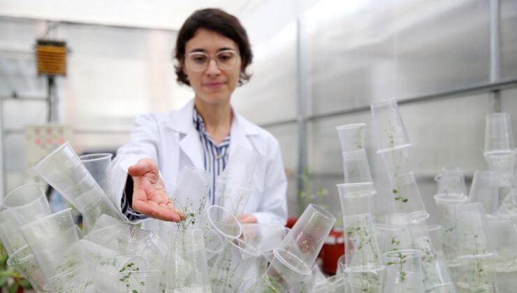 Türk Bilim Kadını Rengin Özgür Uzilday’dan Uzay Biyolojisine Katkı: Mikro Yerçekimi ve Dayanıklı Bitki Türleri