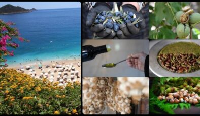 Türkiye’de Coğrafi İşaret Hamlesi: Antalya’dan Hatay’a Lezzet ve Kültür Koruma Altında