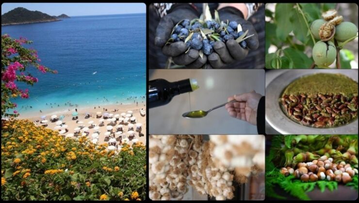 Türkiye’de Coğrafi İşaret Hamlesi: Antalya’dan Hatay’a Lezzet ve Kültür Koruma Altında