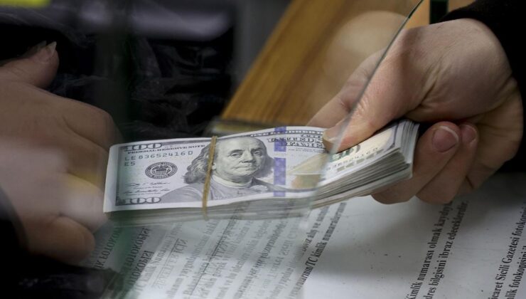 Yetkisiz Döviz Alım Satımına Geçit Yok: Bakanlık Denetimleri Artırıyor