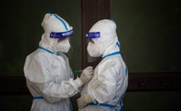 İklim Kriziyle Gelen Tehlike: Asya Kaplan Sivrisineği ve Chikungunya Salgını Avrupa’yı Tehdit Ediyor