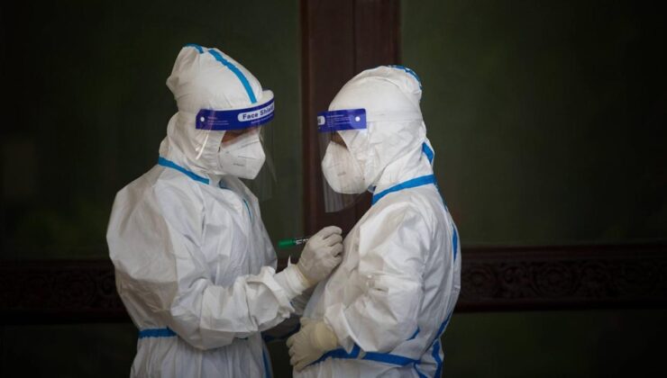 İklim Kriziyle Gelen Tehlike: Asya Kaplan Sivrisineği ve Chikungunya Salgını Avrupa’yı Tehdit Ediyor