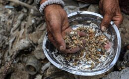 Gazze’de İnsani Kriz Derinleşiyor: Dünya Merkez Mutfağı’nın Faaliyetleri Durma Noktasında