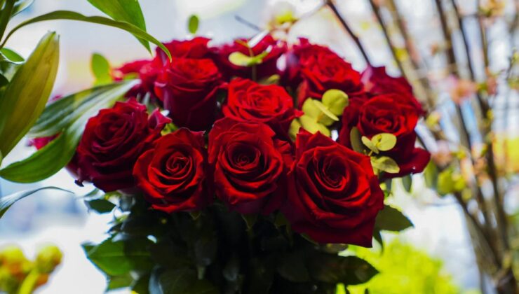 14 Şubat Sevgililer Günü’nde Çiçek Sektöründe Hareketlilik: Fiyatlar ve Tavsiyeler