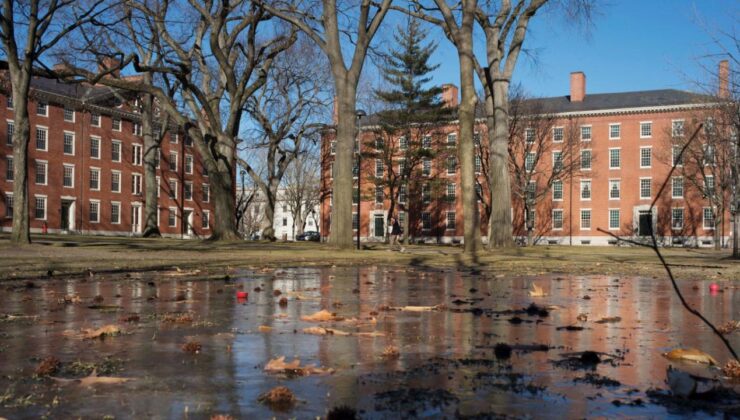 Harvard Üniversitesi’ne Federal Soruşturma: Öğrenci Kabul Politikaları ve Irk Temelli Uygulama İddiaları