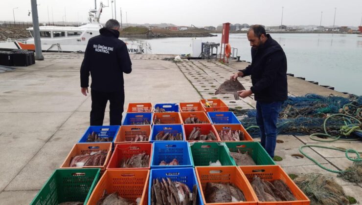 Karasu’da Yasa Dışı Avcılığa Geçit Yok: 850 Kilogram Kalkan Balığına El Konuldu, 905 Bin Lira Ceza