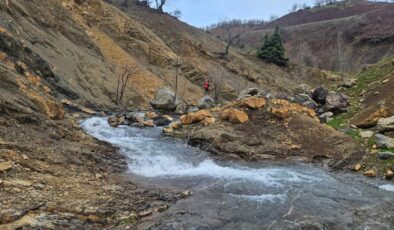 Diyarbakır’da Kayıp Zihinsel Engelli Vatandaş İçin Geniş Kapsamlı Arama Çalışmaları Devam Ediyor