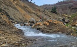 Diyarbakır’da Kayıp Zihinsel Engelli Yaşlı Adam Aranıyor: Arama Çalışmaları 269 Personelle Devam Ediyor