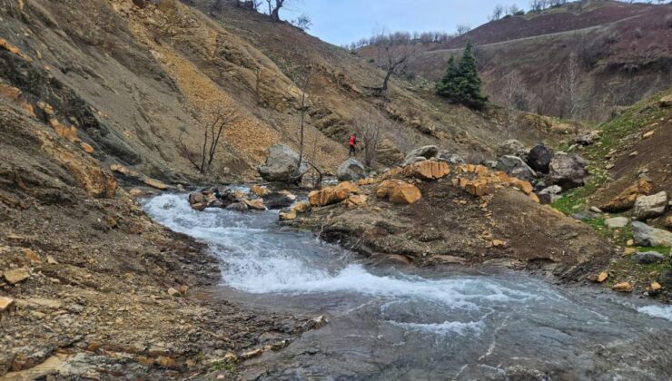 Diyarbakır’da Kayıp Zihinsel Engelli Yaşlı Adam Aranıyor: Arama Çalışmaları 269 Personelle Devam Ediyor
