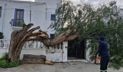 Muğla’yı Fırtına Vurdu: Akbük’te Azmak Nehri Taştı, Marmaris’te Ağaçlar Devrildi