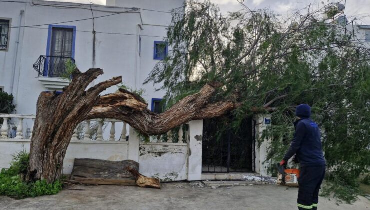 Muğla’yı Fırtına Vurdu: Akbük’te Azmak Nehri Taştı, Marmaris’te Ağaçlar Devrildi