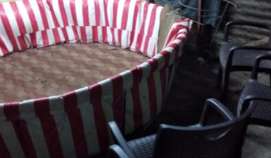 Hatay’da Horoz Dövüşü Operasyonu: 76 Kişiye Bahis Cezası, Dernek Yetkilisine Kumar Suçlaması