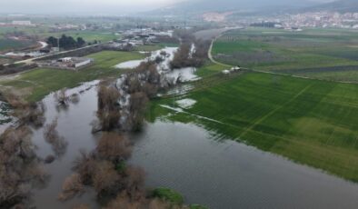 Bursa’da Uluabat Gölü Taşkınları: 20 Bin Dekar Tarım Arazisi Sular Altında
