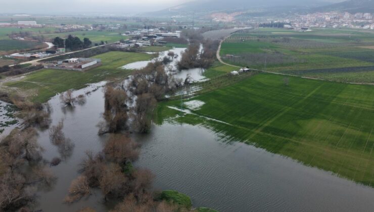 Bursa’da Uluabat Gölü Taşkınları: 20 Bin Dekar Tarım Arazisi Sular Altında