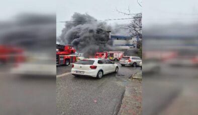 Selimpaşa’da Kozmetik Fabrikasında Yangın: İtfaiye Ekipleri Alevlere Müdahale Ediyor