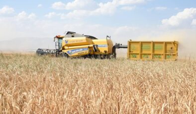 Tarım-GFE Aralık 2025’te Yükseldi: TÜİK Verileri Tarımsal Maliyetlerdeki Artışı Gösteriyor