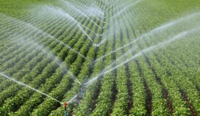 Tarım ve Orman Bakanlığı’ndan Çiftçilere 158.5 Milyar Liralık Destek: Üretim Güçleniyor