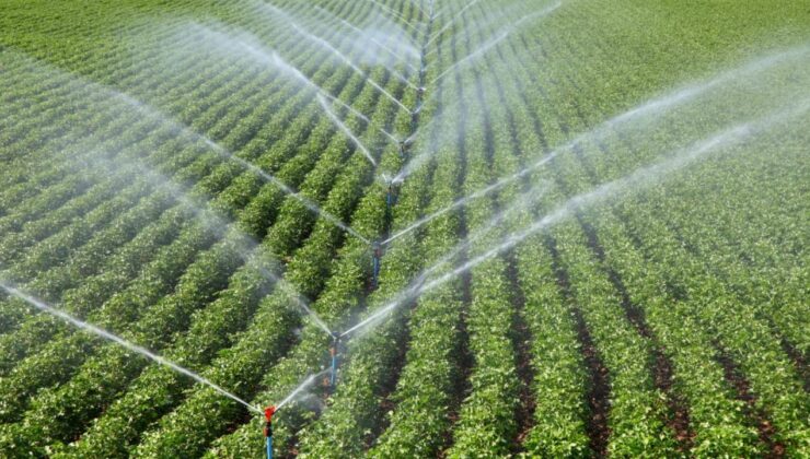 Tarım ve Orman Bakanlığı’ndan Çiftçilere 158.5 Milyar Liralık Destek: Üretim Güçleniyor