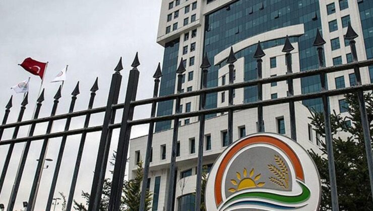 İstilacı Yabancı Türlerle Mücadelede Yeni Dönem: Yönetmelik Yürürlüğe Girdi