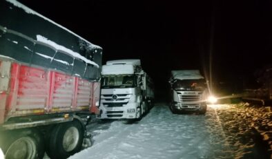 Bingöl ve Elazığ’da Kar Yağışı Ulaşımı Olumsuz Etkiliyor: Yollar Kapandı, Ekipler Çalışıyor