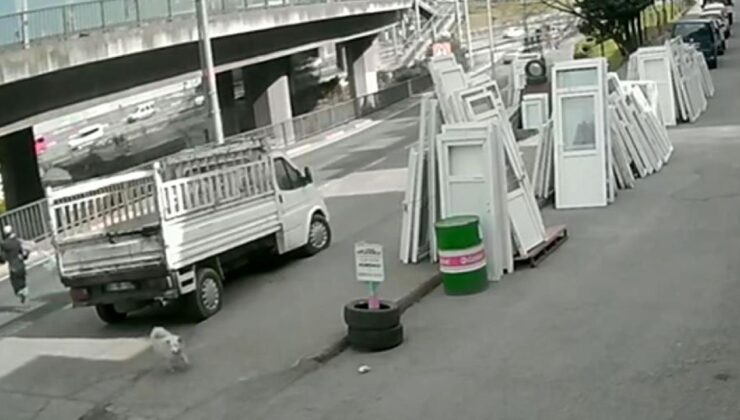 KTÜ Öğrencisi Köpek Saldırısı Sonrası Otobüs Çarpmasıyla Yaralandı: Yoğun Bakımda Tedavisi Devam Ediyor