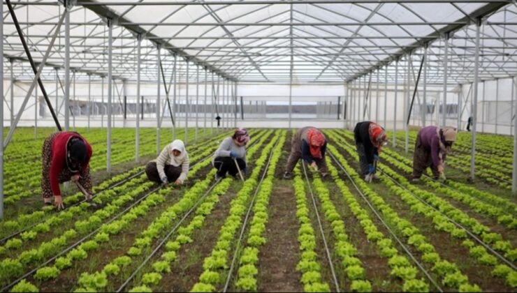 Bölgesel Kalkınma Hamlesi: 15,6 Milyar Liralık Yatırımla Şehirler Yeniden Şekilleniyor