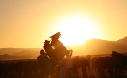 Atların Gizemli Sesi: Kişneme Sırrı Çözüldü, Çift Tonlu İletişim Ortaya Çıktı