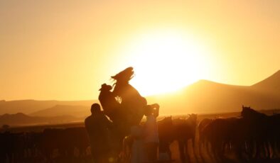 Atların Gizemli Sesi: Kişneme Sırrı Çözüldü, Çift Tonlu İletişim Ortaya Çıktı