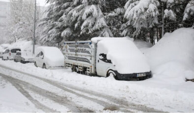 Van, Bitlis ve Muş’ta Kar Kabusu: 187 Yerleşim Yerine Ulaşım Kesildi