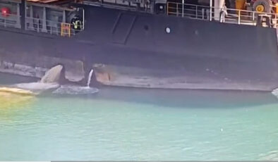 Mersin’de Denizleri Kirleten Gemilere Geçit Yok: 13 Milyon TL Ceza ve Gemiye Bağlama