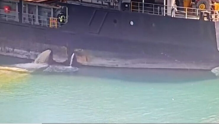 Mersin’de Denizleri Kirleten Gemilere Geçit Yok: 13 Milyon TL Ceza ve Gemiye Bağlama