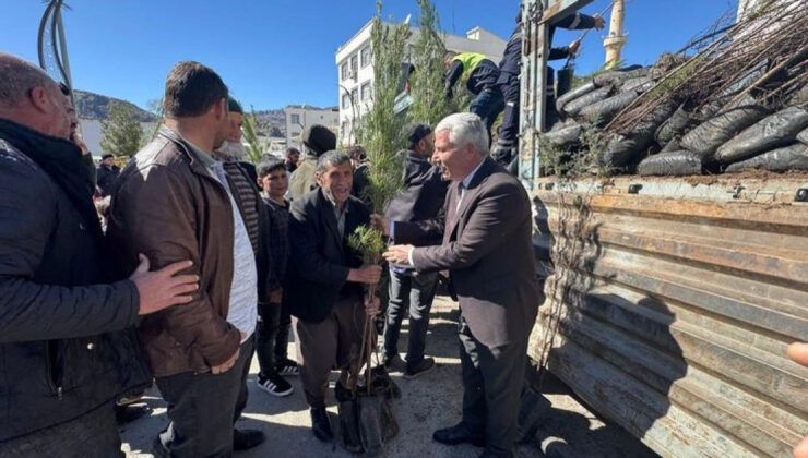 Diyarbakır Çermik’te Çiftçilere 10 Bin Fidan Dağıtıldı: Daha Yeşil Bir Çermik Hedefleniyor
