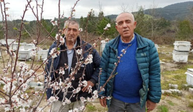 Çanakkale Lapseki’de Arıcılardan Çiftçilere Çağrı: Arıları Koruyalım, Verimi Artıralım!