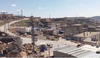 Mardin’de Kuduz Şüphesiyle Mahalle Karantinaya Alındı: İnekten Alınan Numune Sonuçları Bekleniyor