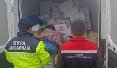 Tekirdağ’da Sağlıksız 2 Ton Antep Fıstığı İmha Edildi: Gıda Güvenliği Denetiminde Yakalandı