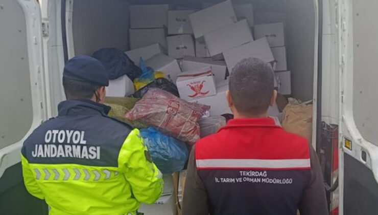 Tekirdağ’da Sağlıksız 2 Ton Antep Fıstığı İmha Edildi: Gıda Güvenliği Denetiminde Yakalandı