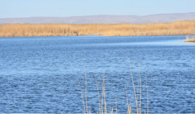 Sıfır Atık Vakfı’ndan Eber Gölü’ne Destek: Kuraklıkla Mücadele ve Koruma Çalışmaları