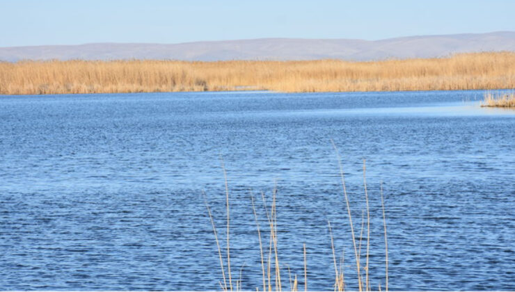Sıfır Atık Vakfı’ndan Eber Gölü’ne Destek: Kuraklıkla Mücadele ve Koruma Çalışmaları
