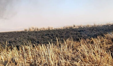 Sultan Sazlığı Milli Parkı’ndaki Yangın Söndürüldü: 4 Günlük Mücadele Sonuç Verdi