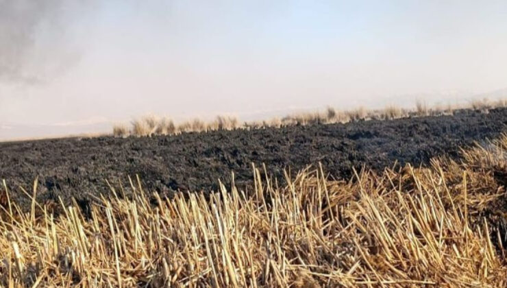 Sultan Sazlığı Milli Parkı’ndaki Yangın Söndürüldü: 4 Günlük Mücadele Sonuç Verdi