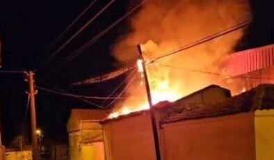 Muğla’da Yaşlı Çiftin Yangın Cinayetinde Şok Gelişme: Torun ve Eşi Yakalandı, Gözaltılar Devam Ediyor