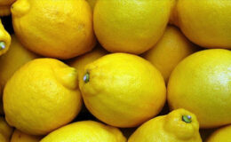 Limon İthalatında Gümrük Vergisi Düzenlemesi: Fiyat İstikrarı ve Üretici Koruması Hedefleniyor