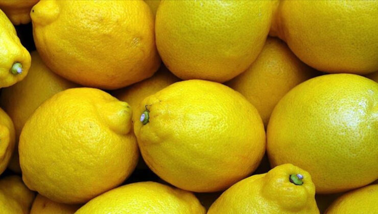 Limon İthalatında Gümrük Vergisi Düzenlemesi: Fiyat İstikrarı ve Üretici Koruması Hedefleniyor