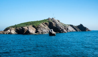 Tavşan Adası: Marmara’nın Umudu ve Korunması Gereken Yaşam Alanı