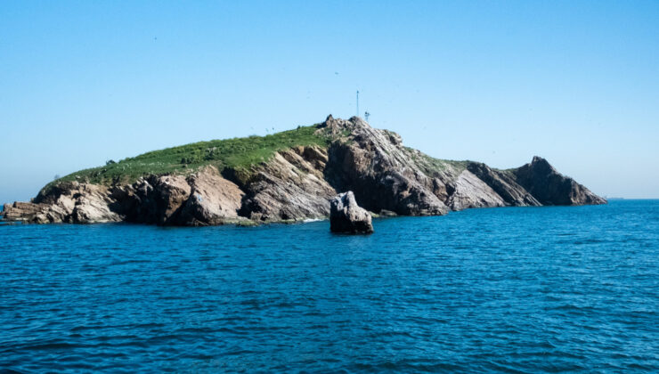 Tavşan Adası: Marmara’nın Umudu ve Korunması Gereken Yaşam Alanı